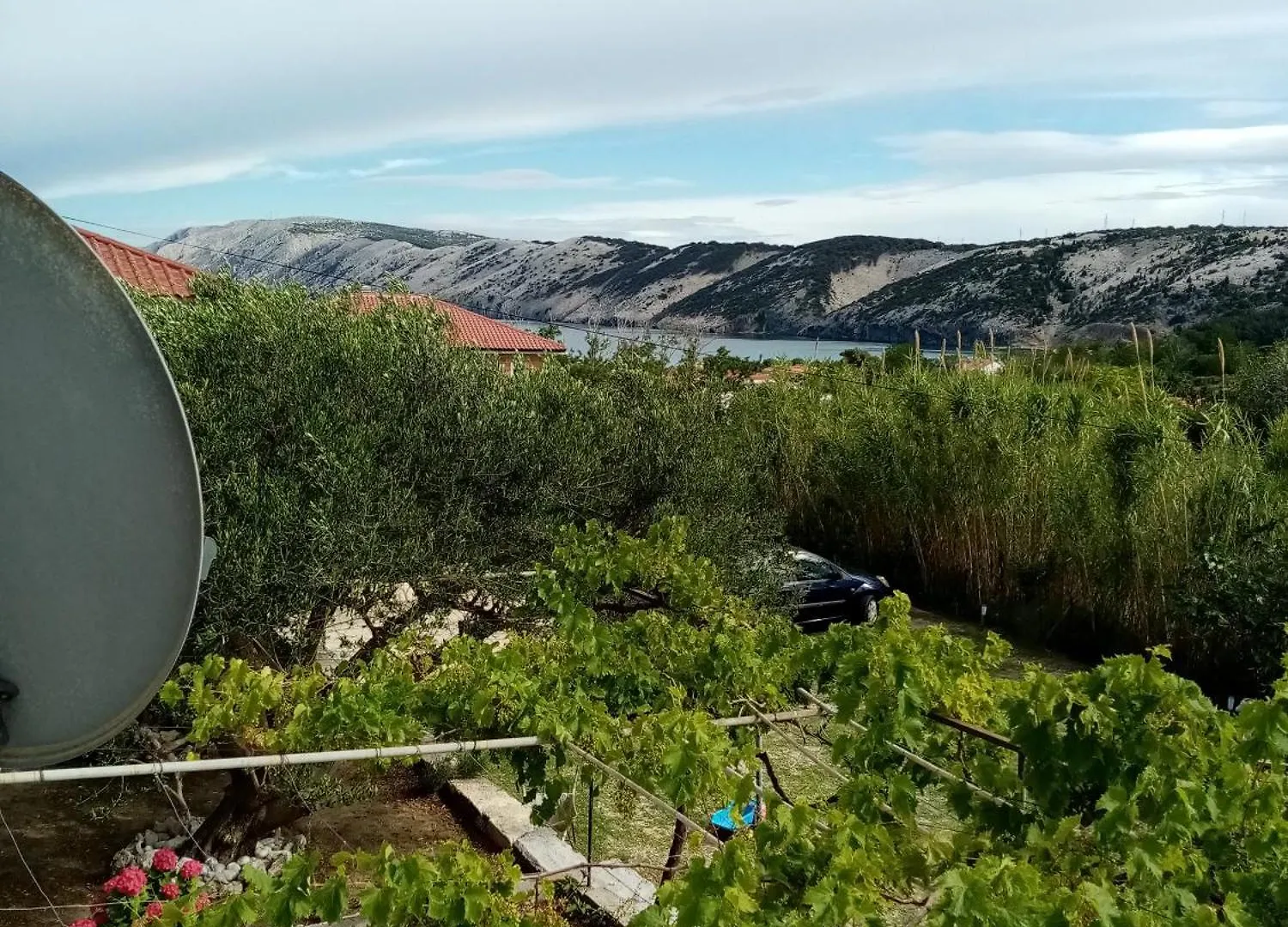 Apartmani Gero Lopar 0*,  Horvátország