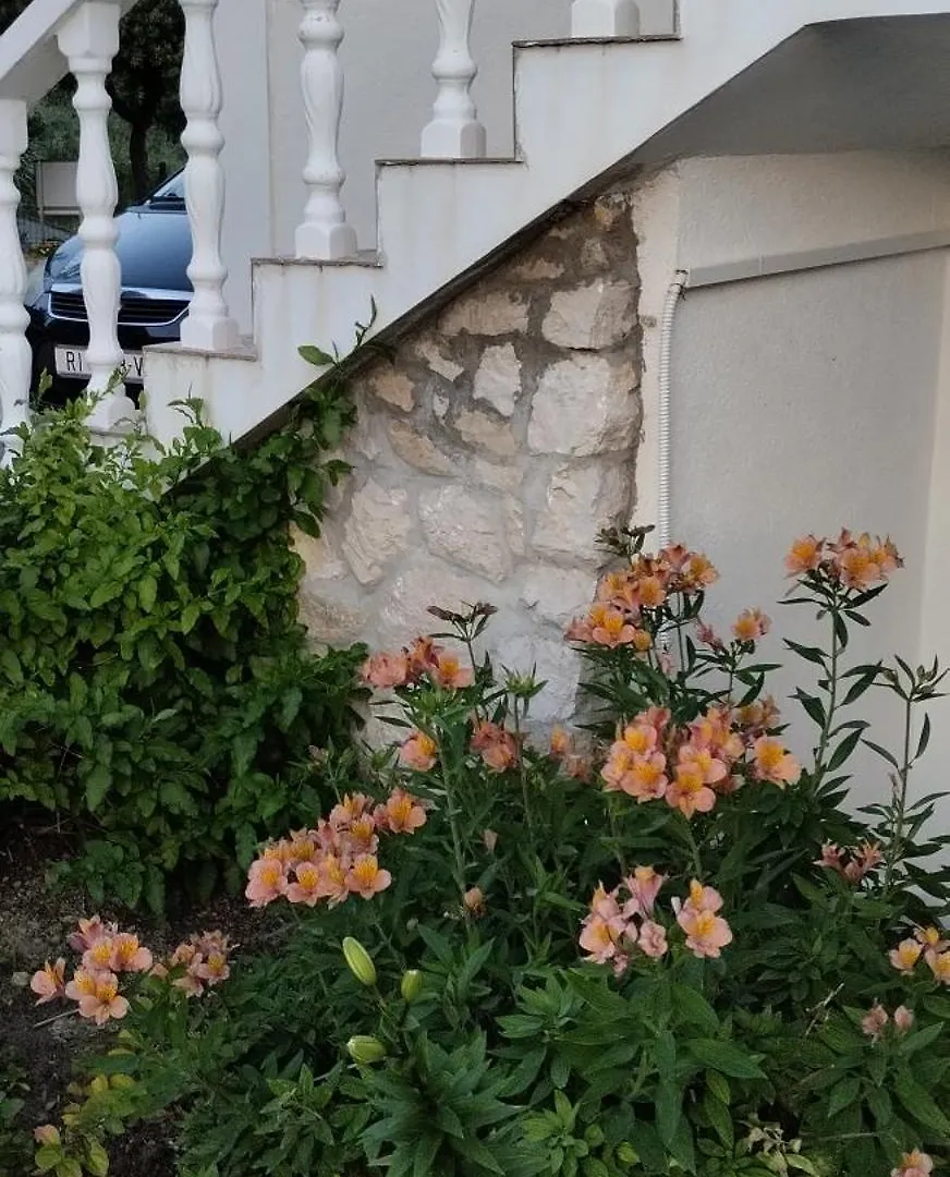 Apartmani Gero Lopar Apartman