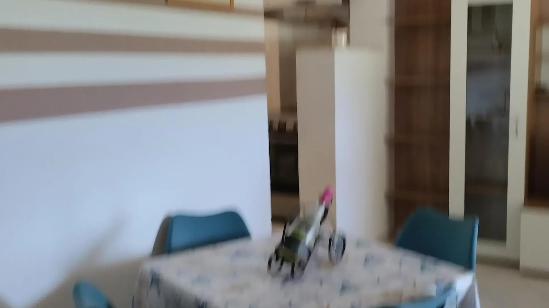 Apartmani Gero Lopar 0*,